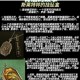 永生梦魇终章揭晓——伏地魔最终魂器覆灭者身份与致命一击真相
