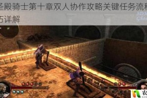 第一圣殿骑士第十章双人协作攻略关键任务流程与战斗技巧详解