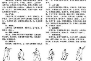 太极熊猫光辉勇者实时战场制胜秘籍与实战技巧深度教学