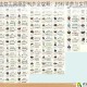 荒野生存工具原型制作全攻略：材料清单与实用技巧详解