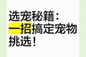 超数据世界高品质宠物挑选秘籍助你快速成为顶尖训练师