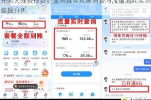 光明大陆费钱费流量吗真实玩家消费与流量消耗实测数据分析