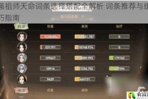 最强祖师天命词条选择搭配全解析 词条推荐与组合技巧指南