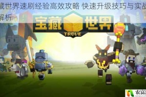 宝藏世界速刷经验高效攻略 快速升级技巧与实战心得解析
