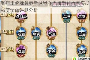 航海王燃烧意志新世界乔巴技能解析与实战强度全面评测分析