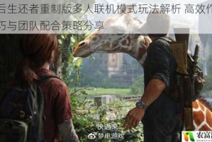 最后生还者重制版多人联机模式玩法解析 高效作战技巧与团队配合策略分享
