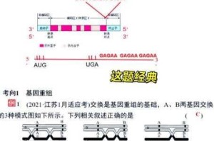 大灾变CDDA基因突变技能代码定位与调整方法详细解析