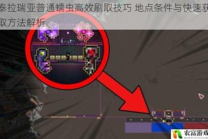 泰拉瑞亚普通蠕虫高效刷取技巧 地点条件与快速获取方法解析