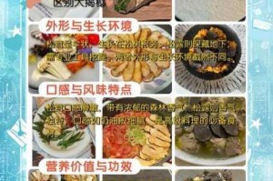 珍贵食材松露的类别探秘菌类食材中的美食瑰宝如何界定归属