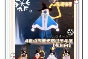 光遇蜘蛛斗篷价格获取途径全解析与详细攻略指南