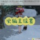 小森生活火狐王与小动物解锁攻略 获取条件及方法详解