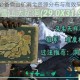 末日生存必备雪山矿洞全资源分布与高效采集路线详解