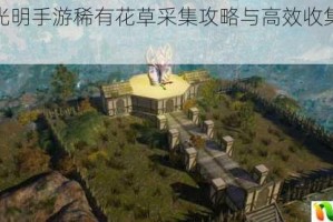 黑暗与光明手游稀有花草采集攻略与高效收集技巧详解