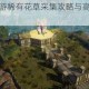 黑暗与光明手游稀有花草采集攻略与高效收集技巧详解