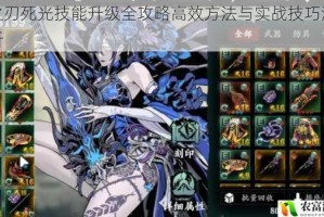 影之刃死光技能升级全攻略高效方法与实战技巧深度解析