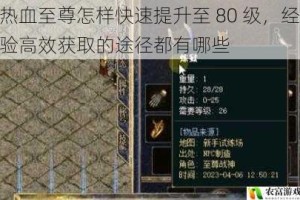 热血至尊怎样快速提升至 80 级，经验高效获取的途径都有哪些