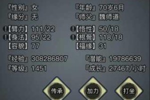 放置江湖内力速成秘籍修炼技巧与实战高效提升全指南