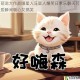 萌宠大作战喵星人汪星人爆笑日常乐翻天可爱瞬间暖心又搞笑