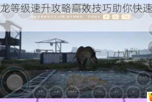 恐龙岛恐龙等级速升攻略高效技巧助你快速进阶顶级驯龙师