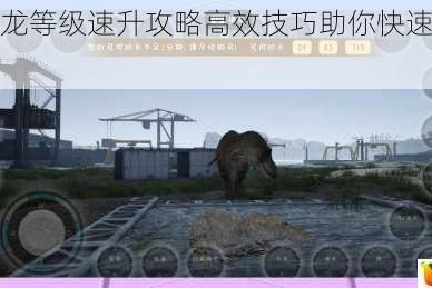 恐龙岛恐龙等级速升攻略高效技巧助你快速进阶顶级驯龙师