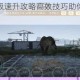 恐龙岛恐龙等级速升攻略高效技巧助你快速进阶顶级驯龙师