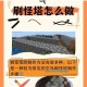 我的世界刷怪塔无法生成怪物常见问题解析与修复方案详解