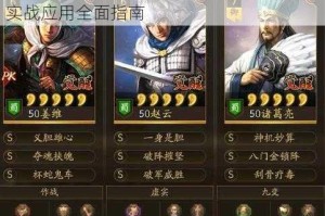 少年三国志彩金战马麒麟技能效果解析与实战应用全面指南
