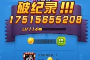 全民飞机大战玫瑰套实战性能与入手价值全解析值得玩家入手吗