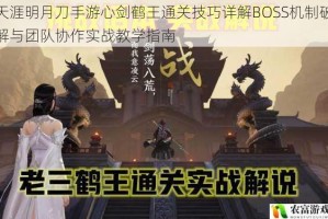 天涯明月刀手游心剑鹤王通关技巧详解BOSS机制破解与团队协作实战教学指南