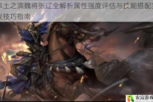 率土之滨魏将张辽全解析属性强度评估与技能搭配实战技巧指南