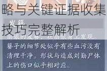 天涯明月刀手游王振案全流程通关攻略与关键证据收集技巧完整解析