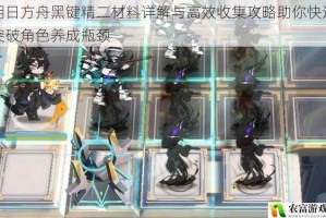 明日方舟黑键精二材料详解与高效收集攻略助你快速突破角色养成瓶颈