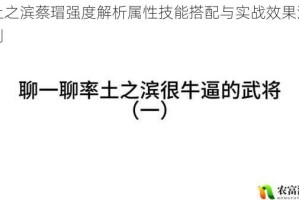 率土之滨蔡瑁强度解析属性技能搭配与实战效果深度评测