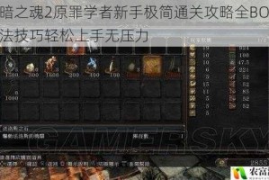 黑暗之魂2原罪学者新手极简通关攻略全BOSS打法技巧轻松上手无压力