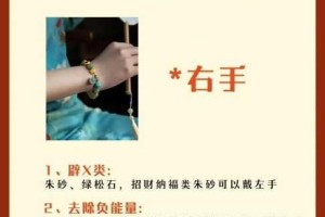 珠珠隐秘安装与配置操作指南详解及注意事项完整解析