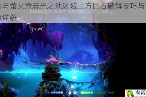 奥日与萤火意志光之池区域上方巨石破解技巧与操作步骤详解
