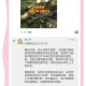 全城警戒低级部队后期乏力论调再审视：被低估的战术价值与资源运用策略解析