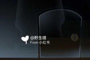黑乌鸦软件安装步骤与配置方法详解及常见问题处理指南