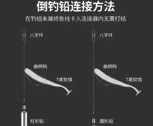 诺亚之心垂钓全攻略掌握高效技巧轻松成为钓鱼达人