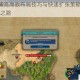 文明6爆铺流高效布局技巧与快速扩张策略详解助力帝国崛起之路