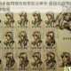 天地劫手游舞蝶技能搭配全解析 最强组合与实战技巧推荐指南