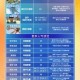 点金猎人五阶装备跳装攻略高效进阶技巧与装备路线指南