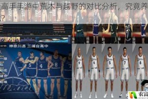 灌篮高手手游中荒木与越野的对比分析，究竟养哪个更优？