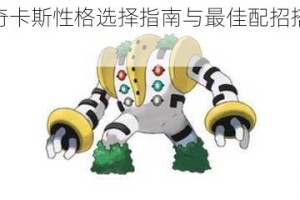 闪光雷吉奇卡斯性格选择指南与最佳配招搭配策略全解析