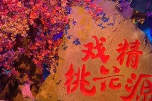 桃花源记手游沉浸式国风世界探秘与特色玩法深度评测解析