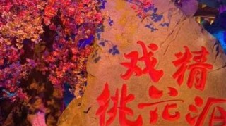 桃花源记手游沉浸式国风世界探秘与特色玩法深度评测解析