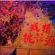 桃花源记手游沉浸式国风世界探秘与特色玩法深度评测解析
