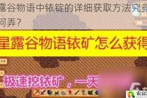 星露谷物语中铱锭的详细获取方法究竟该如何弄？