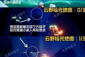 光遇云野全动作位置指南详细坐标与收集技巧完整解析
