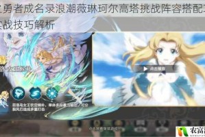 盾之勇者成名录浪潮薇琳珂尔高塔挑战阵容搭配攻略与实战技巧解析